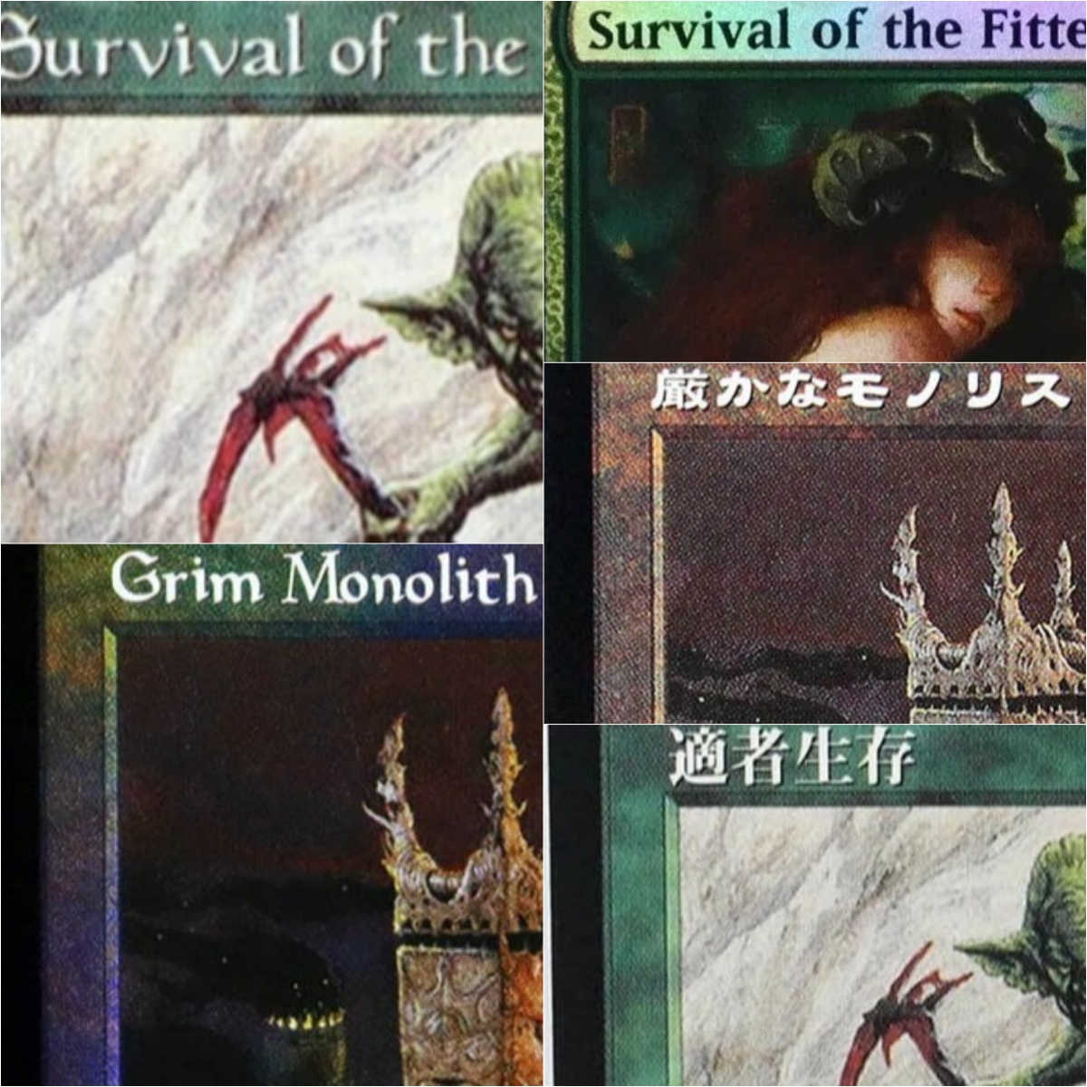 Board Game Survive The Island - Cartas Proxy TCG Grim Monolith/Survival of